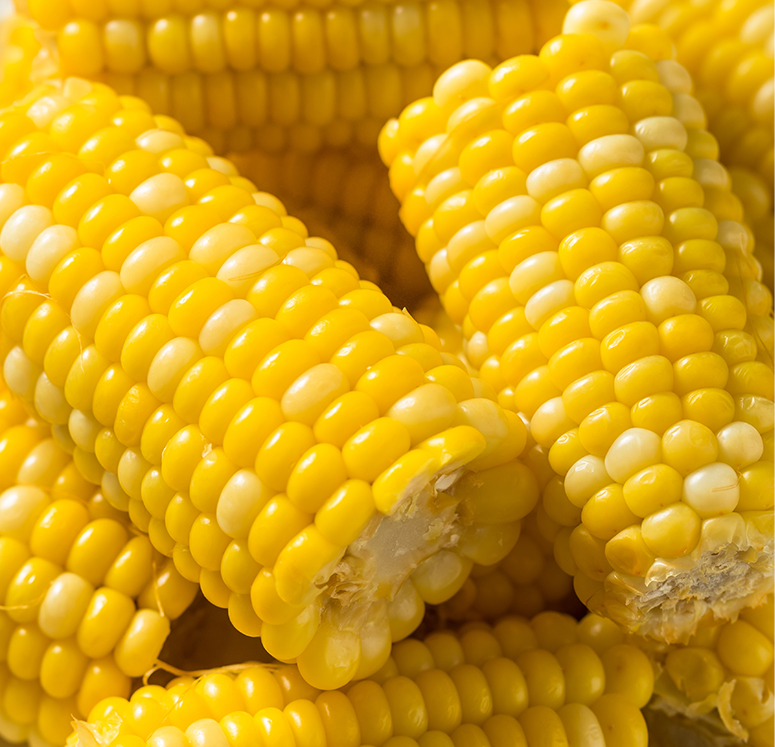 Corn, Cobbettes 3" IQF